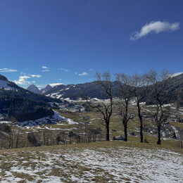 Oberhalb Klosterwald Richtung Brunni
